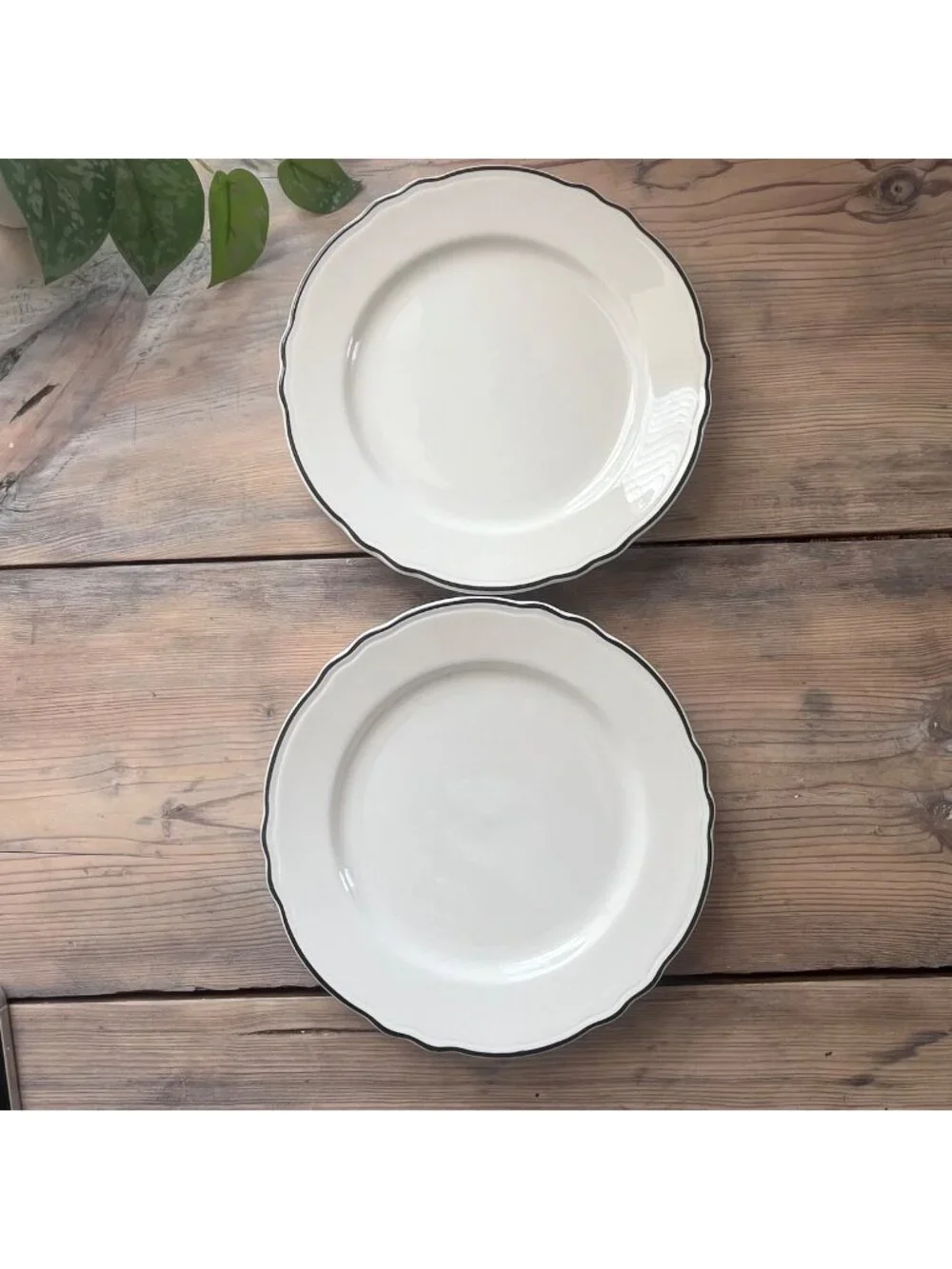 Homer Laughlin Styleline Dinner Plates Scalloped Edge White with Black Trim